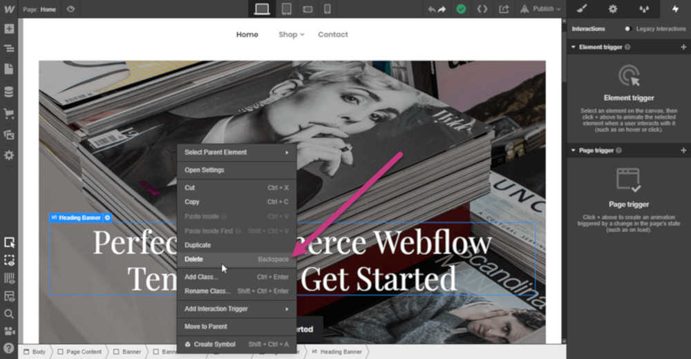 2-removing-webflow-elements-1.jpg